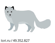 Polar fox flat style vector. Wild predatory animal. North fauna species. For nature concepts, children s books illustrating, printing materials. Fur hunting object. Isolated on white background. Polar Fox Vector Illustration in Flat Design. Polar Fox Vector Illustration in Flat Design. Стоковая иллюстрация, агентство Ingram Publishing / Фотобанк Лори