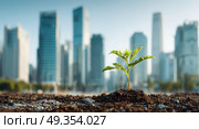 A small plant is growing in the dirt in front of a city. Стоковое AI-изображение, AI-художник Ярославский Максим / Фотобанк Лори