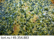 Broccoli quiche french recipe homemade. Broccoli quiche french recipe homemade texture detail. Стоковое фото, агентство Ingram Publishing / Фотобанк Лори