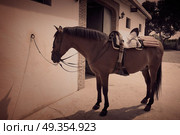 Brown horse bound to wall with leather saddle. Brown horse bound to white wall with leather saddle. Стоковое фото, агентство Ingram Publishing / Фотобанк Лори