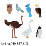 Owl Dove Blue Parrot Eagle Ostrich Goose Penguin. Set of birds isolated. Owl dove blue parrot eagle ostrich goose penguin. Collection of aves. Group of toothless beaked jaws birds, laying of hard-shelled eggs. Stickers for children. Vector. Стоковая иллюстрация, агентство Ingram Publishing / Фотобанк Лори