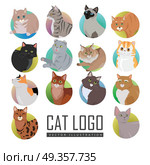 Set of Cat s Faces Vector Flat Design Illustration. Different breed cat s faces. European shorthair, exotic, bengal, somali, maine coon cats heads flat vector illustrations set isolated on white background. For pet shop ad, animalistic hobby concepts. Стоковая иллюстрация, агентство Ingram Publishing / Фотобанк Лори