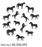 Set of Vector Silhouettes of Horses Breeds. Collection of vector silhouettes of horses breeds in different poses. Standing, runnung, rearing horses. Flat style. For inforgaphics, app icons, equestrian club logo and web design. Isolated on white. Стоковая иллюстрация, агентство Ingram Publishing / Фотобанк Лори