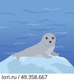 Earless seal on floe in the ocean. Flat style vector. Wild animal. Northern fauna species. Cute baby of sea calf in habitat. For nature concepts, children s books illustrating, printing materials. Earless seal Vector Illustration in Flat Design. Earless seal Vector Illustration in Flat Design. Стоковая иллюстрация, агентство Ingram Publishing / Фотобанк Лори