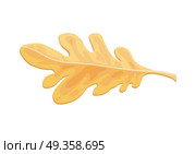 Autumn Oak Leaf isolated Over White Background.. Autumn oak leaf isolated. Fallen leaf of a tree. Autumn season. Fall design concept. Botany element in flat style. Sign symbol of foliage. Serrated leaf or entire leaf with smooth margins. Vector. Стоковая иллюстрация, агентство Ingram Publishing / Фотобанк Лори