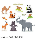 Asian Animals Fauna Species. Camel, Panda, Tiger,. Asian animals fauna species. Cute asian animals flat vector. Northern predators. Nature concept for children s book. Camel, panda, tiger, chameleon, monkey, deer, grizzly bear elephant. Стоковая иллюстрация, агентство Ingram Publishing / Фотобанк Лори