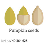 Pumpkin seeds vector in flat style design. Traditional classic snack from pile pumpkin. Diet and therapeutic product. Source of valuable fats, elements, vitamins and oil. Isolated on white background.. Pumpkin Seeds Vector Illustration in Flat Design  . Pumpkin Seeds Vector Illustration in Flat Design  . Стоковая иллюстрация, агентство Ingram Publishing / Фотобанк Лори