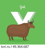 Animal alphabet vector concept. Flat style. Zoo ABC with domesticated animal. Yak bull standing on green background, letter Y behind. Educational glossary. For children s books, textbooks illustrating. Animal Alphabet Concept in Flat Design. Animal Alphabet Concept in Flat Design. Стоковая иллюстрация, агентство Ingram Publishing / Фотобанк Лори