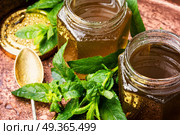 Jam from fresh mint. Aromatic curative jam from fresh mint leaves.Peppermint jelly. Стоковое фото, агентство Ingram Publishing / Фотобанк Лори