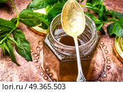 Jam from fresh spearmint. Aromatic curative jam from fresh mint leaves.Peppermint jelly. Стоковое фото, агентство Ingram Publishing / Фотобанк Лори