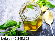 Jam from fresh mint. Aromatic curative jam from fresh mint leaves.Peppermint jelly.Green herbal tea. Стоковое фото, агентство Ingram Publishing / Фотобанк Лори
