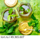 Jam from fresh spearmint. Aromatic curative jam from fresh mint leaves.Peppermint jelly. Стоковое фото, агентство Ingram Publishing / Фотобанк Лори