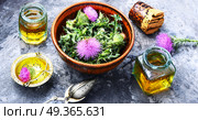 Natural herbs medicine. Healing plant of thistle and medical bottles with extract.Herbalism. Стоковое фото, агентство Ingram Publishing / Фотобанк Лори