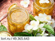 Delicious jasmine jam. Useful jam from the blossoming jasmine petals, healthy food. Стоковое фото, агентство Ingram Publishing / Фотобанк Лори