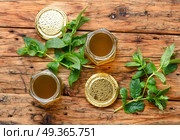 Jam from fresh mint. Aromatic curative jam from fresh mint leaves.Peppermint jelly. Стоковое фото, агентство Ingram Publishing / Фотобанк Лори