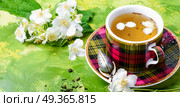 Herbal tea with jasmine. Teacup with tea from jasmine flowers.Green tea. Стоковое фото, агентство Ingram Publishing / Фотобанк Лори