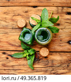 Mint essence oil in a small bottle and fresh leaves.Healing plants. Aroma oil with peppermint. Aroma oil with peppermint. Стоковое фото, агентство Ingram Publishing / Фотобанк Лори