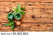 Mint essential oil in a glass bottle.Herbal medicine. Natural mint essential oil. Natural mint essential oil. Стоковое фото, агентство Ingram Publishing / Фотобанк Лори