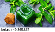 Mint essential oil in a glass bottle.Healing plants.Healing herbs. Aroma oil with peppermint. Aroma oil with peppermint. Стоковое фото, агентство Ingram Publishing / Фотобанк Лори