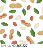 Peanut seamless pattern vector in flat design. Traditional snack. Healthy food. Nut ornament for wallpapers, polygraphy, textiles, web page design, surface textures. Isolated on white background.. Peanut Seamless Pattern Vector in Flat Design.. Peanut Seamless Pattern Vector in Flat Design. Стоковая иллюстрация, агентство Ingram Publishing / Фотобанк Лори
