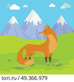 Red Fox Standing on the Meadow in the Mountains.. Red fox vulpes standing on the meadow in the mountains. Cute wild animal with flattened skull, upright triangular ears, pointed snout, and long bushy tail. Cartoon banner. Vector design illustration. Стоковая иллюстрация, агентство Ingram Publishing / Фотобанк Лори