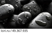 Black wet pebbles background backlite. Black wet pebbles background. Стоковое фото, агентство Ingram Publishing / Фотобанк Лори