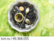 Pile of dry juniper berries. Pile of dry juniper berries prepared for healing teas and extracts. Стоковое фото, агентство Ingram Publishing / Фотобанк Лори