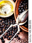 Pile of dry juniper berries. Pile of dry juniper berries prepared for healing teas and extracts. Стоковое фото, агентство Ingram Publishing / Фотобанк Лори