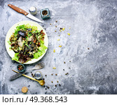 Vegetarian salad with mushrooms. Autumn salad with wild mushrooms and lettuce.Vegetarian food. Стоковое фото, агентство Ingram Publishing / Фотобанк Лори