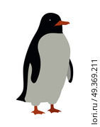 Penguins Isolated. Aquatic, Flightless Bird. Penguins isolated on white. Aquatic, flightless bird living in Southern Hemisphere, in Antarctica. Has countershaded dark and white plumage, wings evolved into flippers. Sticker for children. Vector. Стоковая иллюстрация, агентство Ingram Publishing / Фотобанк Лори