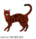 Bengal cat breed. Cute spotted, cat walking with raised tail flat vector illustration isolated on white background. Purebred pet. Domestic friend and companion animal. For pet shop ad, hobby concept. Bengal Cat Vector Flat Design Illustration. Стоковая иллюстрация, агентство Ingram Publishing / Фотобанк Лори