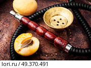 Oriental hookah with the aroma apricot for relax.Apricot shisha.Shisha Concept. Hookahs shisha with apricot. Стоковое фото, агентство Ingram Publishing / Фотобанк Лори