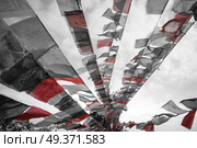 Many colorful waving prayer flags suspended between trees. black and red and white photo. Стоковое фото, агентство Ingram Publishing / Фотобанк Лори