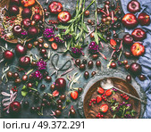 Various summer berries and fruits: strawberries, Peaches, plums, cherries, gooseberries, currants  on rustic kitchen table with flowers and plates, top view, flat lay. Organic local  food and eating. Стоковое фото, агентство Ingram Publishing / Фотобанк Лори