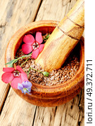 Flax seed and flax flowers in mortar.Linseeds. Brown flax seeds. Стоковое фото, агентство Ingram Publishing / Фотобанк Лори