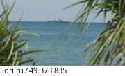view through palm trees on a warship of the Thai Armed Forces stands in sea at sunny day. Стоковое видео, видеограф Vladimir Drozdin / Фотобанк Лори