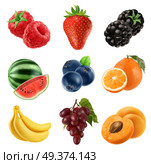 Fresh fruit. 3d vector icons set. Realistic illustration. Стоковая иллюстрация, агентство Ingram Publishing / Фотобанк Лори