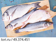 fresh sea fish preparation - dorada and seabass choise of fith on cutting board, flat lay. fresh sea fish preparation. Стоковое фото, агентство Ingram Publishing / Фотобанк Лори
