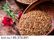 Flax seed and flax flowers in mortar. Heap of linseeds. Стоковое фото, агентство Ingram Publishing / Фотобанк Лори