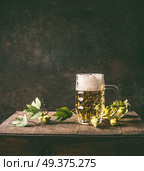 Cold mug of beer with foam on a rustic table with a vine and cones of hops opposite a dark wall, front view. Стоковое фото, агентство Ingram Publishing / Фотобанк Лори