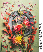 Autumn flowers and leaves flat lay composing, top view. Fall floral still life with plate and chrysanthemums and red branches. Стоковое фото, агентство Ingram Publishing / Фотобанк Лори