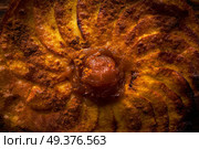 Apple tatin pie cake on puff pastry dessert. Стоковое фото, агентство Ingram Publishing / Фотобанк Лори