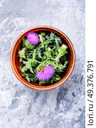 Wild healing herbs thistle in mortar.Herbal medicine.. Onopordum.Herbalism.Thistle. Стоковое фото, агентство Ingram Publishing / Фотобанк Лори