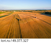 Harvester machine working in field. Combine machine harvesting agriculture golden ripe wheat field. Aerial view on the combine working on large rye field near Minsk, Belarus. Стоковое фото, агентство Ingram Publishing / Фотобанк Лори