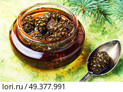 Homemade medicinal jam from pine cones.Natural Medicine. Jam from pine cones. Стоковое фото, агентство Ingram Publishing / Фотобанк Лори