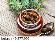 Homemade medicinal jam from pine cones.Natural Medicine. Jam from pine cones. Стоковое фото, агентство Ingram Publishing / Фотобанк Лори
