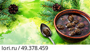 Homemade medicinal jam from pine cones.Natural Medicine. Jam from pine cones. Стоковое фото, агентство Ingram Publishing / Фотобанк Лори