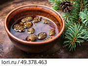 Homemade medicinal jam from pine cones.Natural Medicine. Jam from pine cones. Стоковое фото, агентство Ingram Publishing / Фотобанк Лори