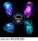 Transparent glowing pink purple blue and turquoise  medusa blubber jellyfish set decorative black background poster vector illustration . Glowing Jellyfish Medusa Set poster. Стоковая иллюстрация, агентство Ingram Publishing / Фотобанк Лори