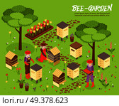 Bee keeping yard with beehives honey harvesting isometric poster with apiary friendly plants garden background vector illustration . Beegarden Bee Yard Isometric Illustration . Стоковая иллюстрация, агентство Ingram Publishing / Фотобанк Лори